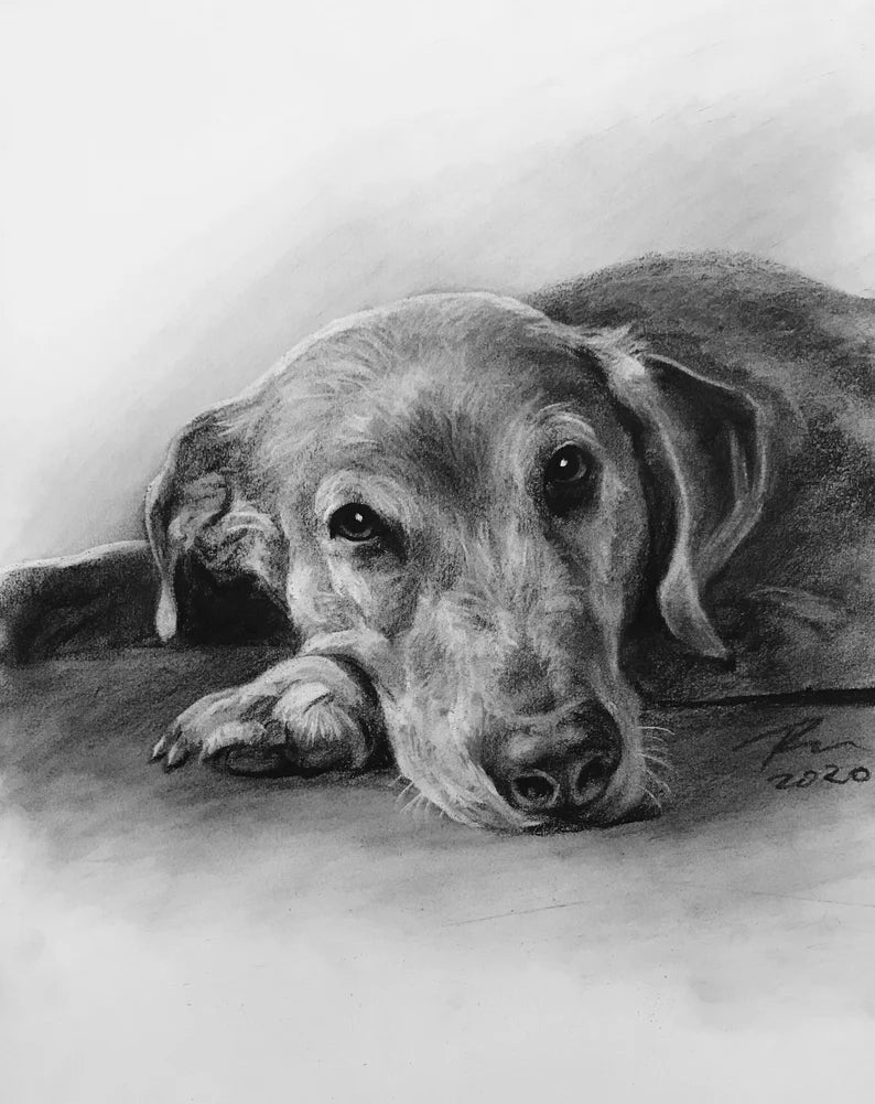 Custom Pet Portrait | Custom Dog Portrait| Pet Commission | Custom Charcoal Pet | Custom Wall Art | Pet Lover Gift | Dog Art | Cat Portrait