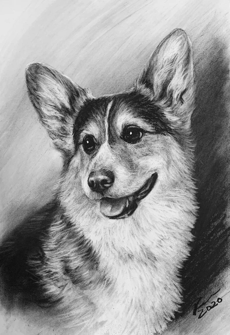 Custom Pet Portrait | Custom Dog Portrait| Pet Commission | Custom Charcoal Pet | Custom Wall Art | Pet Lover Gift | Dog Art | Cat Portrait